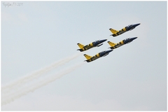 Baltic Bees 1