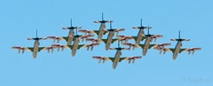 Frecce Tricolori
