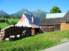 ŽDIAR