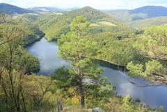 Ružín z Drienkovej skaly