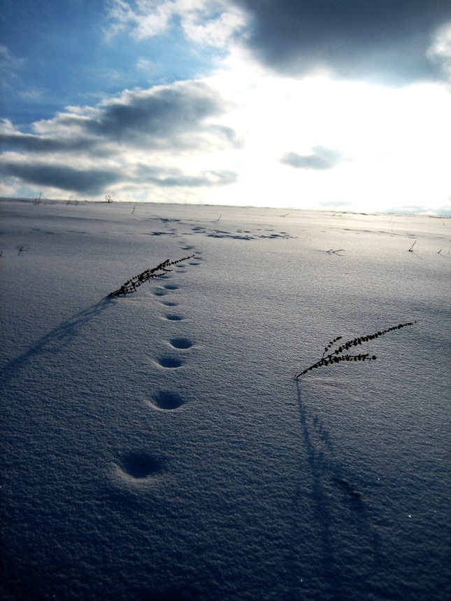 pathway to Heaven