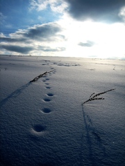 pathway to Heaven