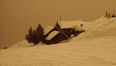 "jarná"idylka