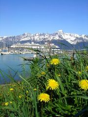 The small harbour