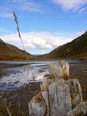 The savage river