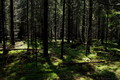 Tatry- Podbánske