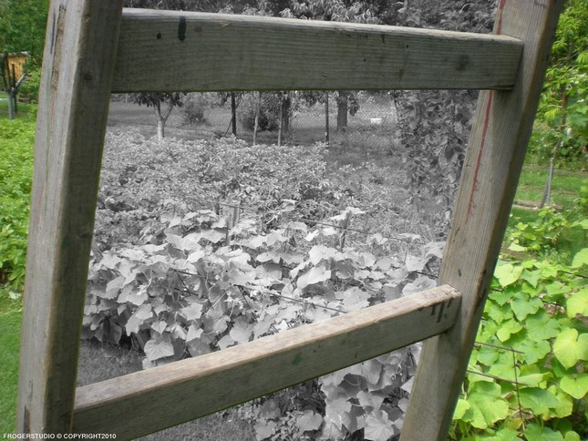 ... pohlad do minulosti