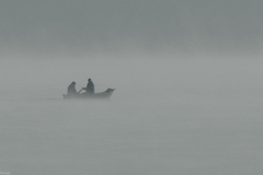 Ráno na Mare II