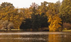 Jesenný park