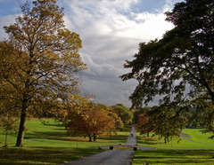 Roundhay park