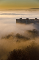 Landscape in the Fog