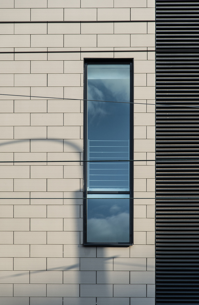 Window