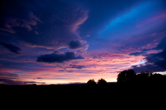 Dreamland