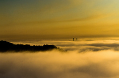 Landscape in the Fog