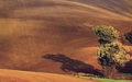 jesenné polia