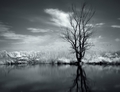 ...mohykán...II