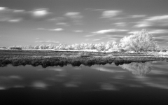 jarná inundácia Moravy