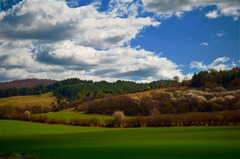 Košecké lesy