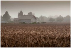 bleak morning