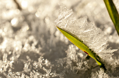 nieco  na  schladenie