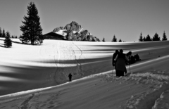 Zasneženou kranijou