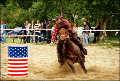 Western