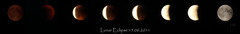 Lunar Eclipse