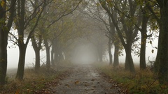 ... za rána, za hmly ii ...