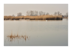 ... lagoa tranquila ...