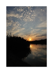 Good night Senec ...