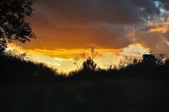 ... oheň na obzore ...