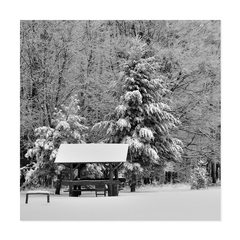 ... neskorá jeseň na Čermáku ...