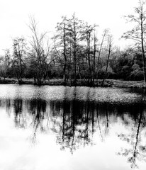 mirroring