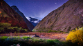Cesta Inkov