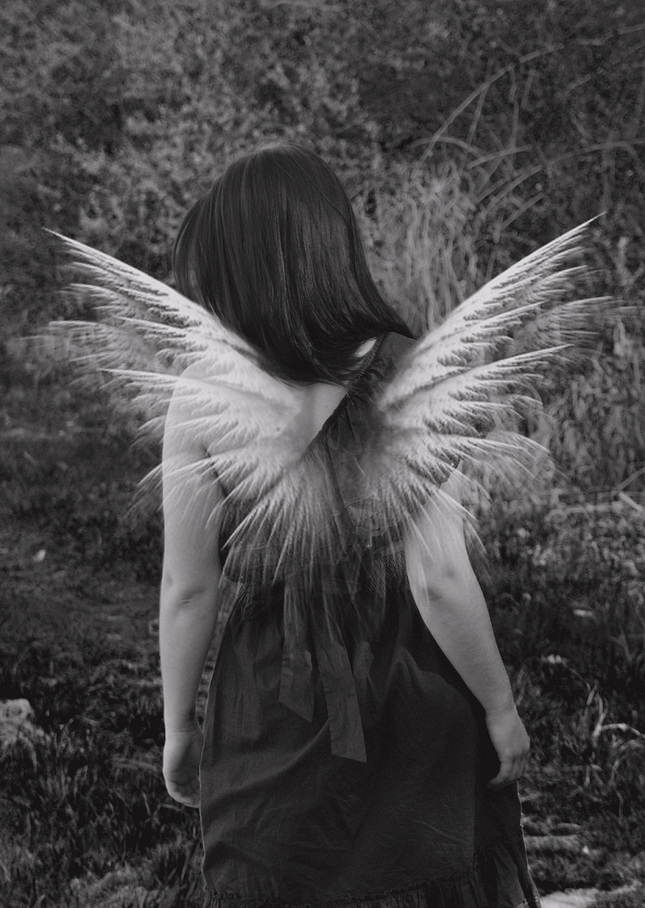 wings of  Bc.angel