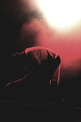 The Wombats
