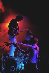 The Wombats