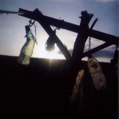 Strašenie po poliach...