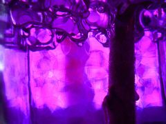 Deep purple