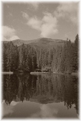 Vrbické pleso