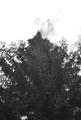 drobček