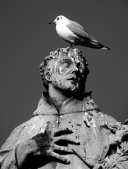 Sochy pre ľudí a vtákov..:-)