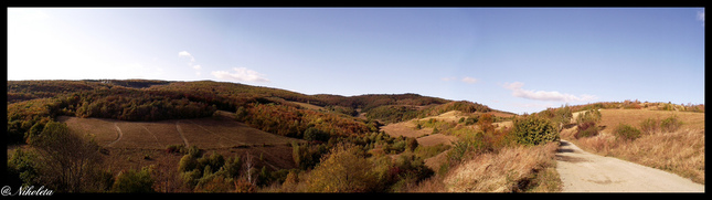 pan3