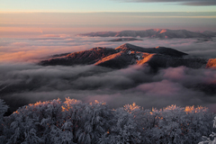 Dobré ráno Slovensko