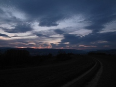 Cestička