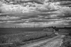 Ideal weather for biking...