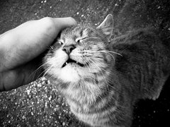 Spôsob rozmaznávania