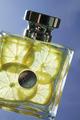 Versace lemon