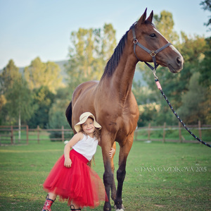 Dievča s koňom