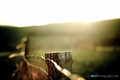 Country...